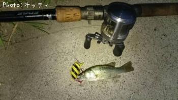 �֥�å��Х�