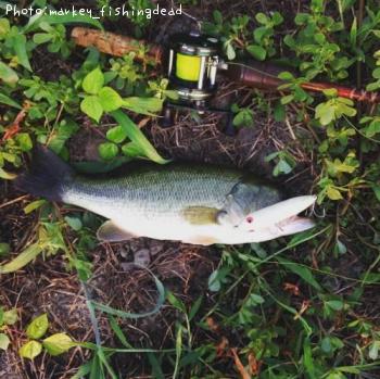 ¥Ö¥é¥Ã¥¯¥Ð¥¹