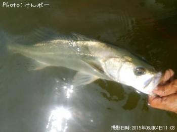 �����Х�