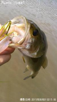 �֥�å��Х�