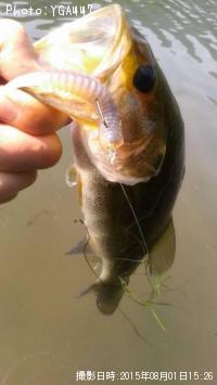 �֥�å��Х�