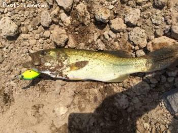 ¥Ö¥é¥Ã¥¯¥Ð¥¹