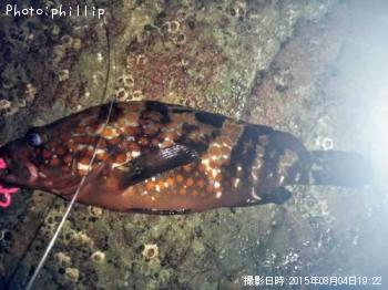 �����ϥ�