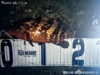 �����ϥ�