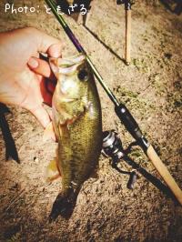 ¥Ö¥é¥Ã¥¯¥Ð¥¹