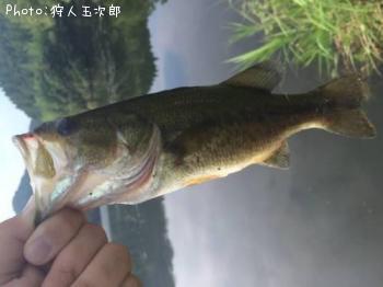 ¥Ö¥é¥Ã¥¯¥Ð¥¹