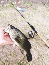 �֥�å��Х�