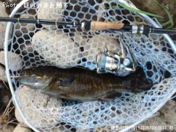 ¥¹¥â¡¼¥ë¥Þ¥¦¥¹