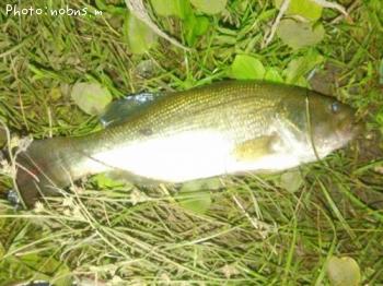 �֥�å��Х�