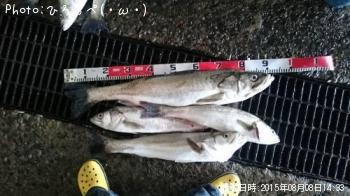 �����Х�