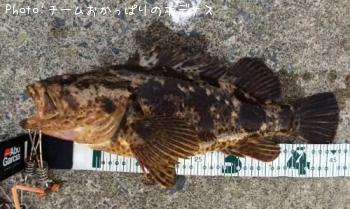 �����Υ���Х�