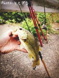 �֥�å��Х�