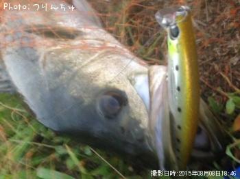 �����Х�