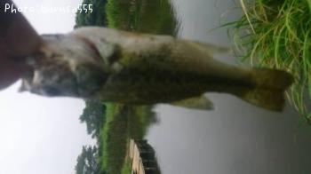�֥�å��Х�
