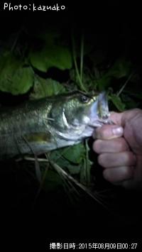 ¥Ö¥é¥Ã¥¯¥Ð¥¹