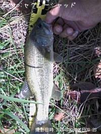 �֥�å��Х�