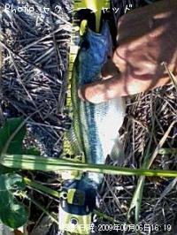 ¥Ö¥é¥Ã¥¯¥Ð¥¹