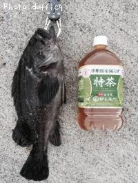 ¥¯¥í¥½¥¤