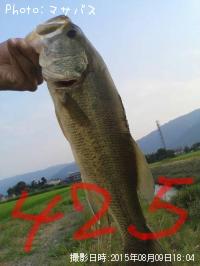 �֥�å��Х�