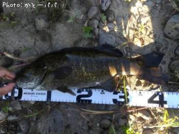 ¥Ö¥é¥Ã¥¯¥Ð¥¹