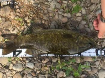 �֥�å��Х�