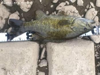 �֥�å��Х�