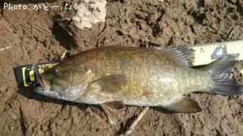 �֥�å��Х�