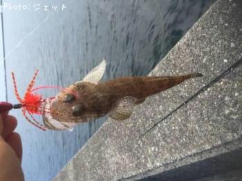 �ޥ�����