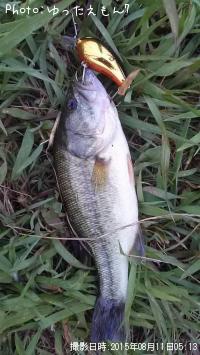 �֥�å��Х�