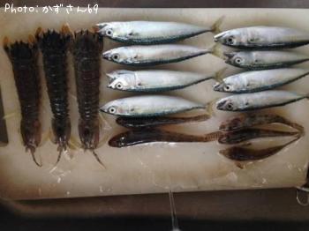 ���С��ϥ������㥳