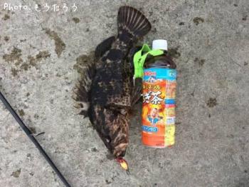 �����Υ���Х�