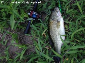 ¥Ö¥é¥Ã¥¯¥Ð¥¹