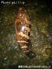 �����ϥ�