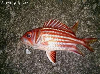 ��������ڥ���ᥨ�ӥ���