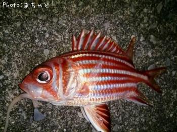 ��������ڥ���ᥨ�ӥ���