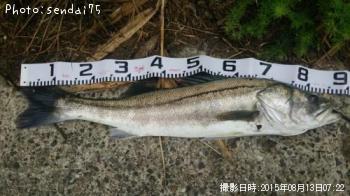 �����Х�