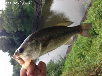 ¥Ö¥é¥Ã¥¯¥Ð¥¹