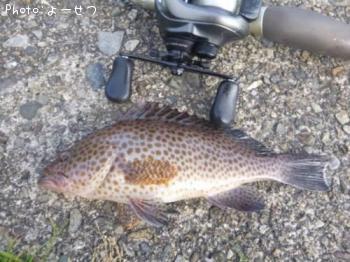 �������ϥ�