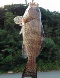 �������ϥ�