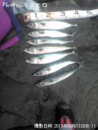 ���ޥ���