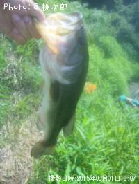 �֥�å��Х�