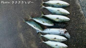 ¥ï¥é¥µ¡õ¥µ¥ï¥é¡õ¥Ò¥é¥á¡õ¥µ¥Ð¡õ¥¤¥È¥è¥ê¡õ¥¨¥½