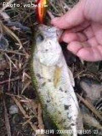 ¥Ö¥é¥Ã¥¯¥Ð¥¹