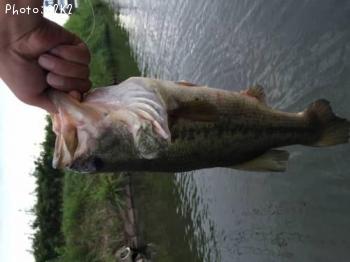 �֥�å��Х�