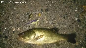 �֥�å��Х�