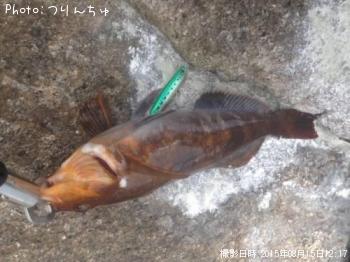 �����ʥ�