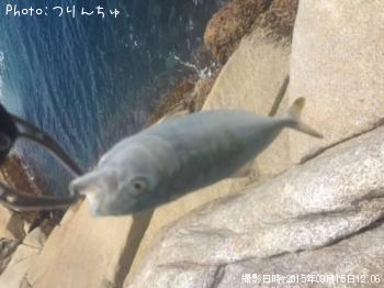 �����ʥ�