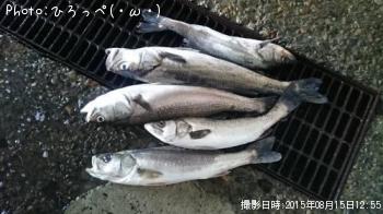 �����Х�