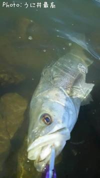 �����Х�