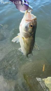 �����Х�